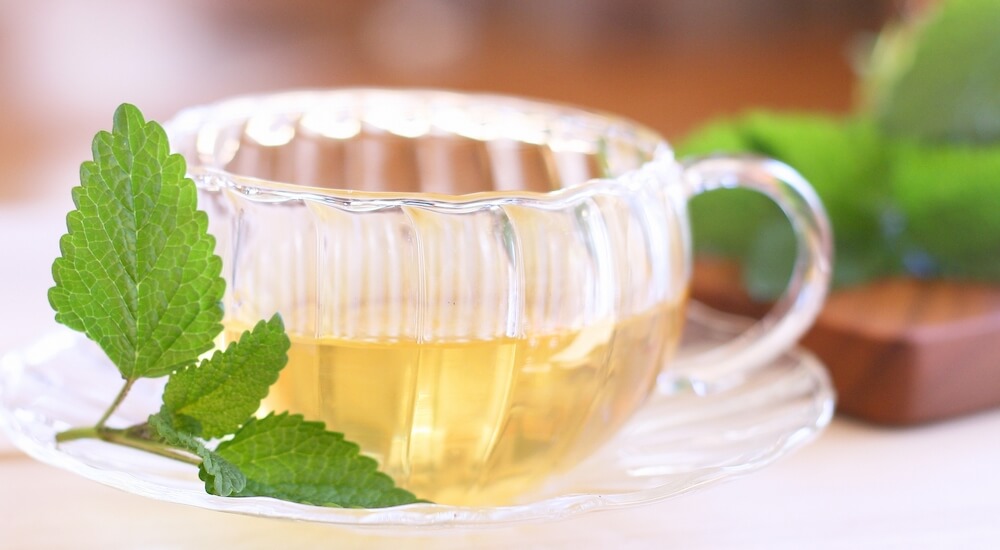 桑の葉茶にはどんな成分が含まれているの？【わかりやすく解説】