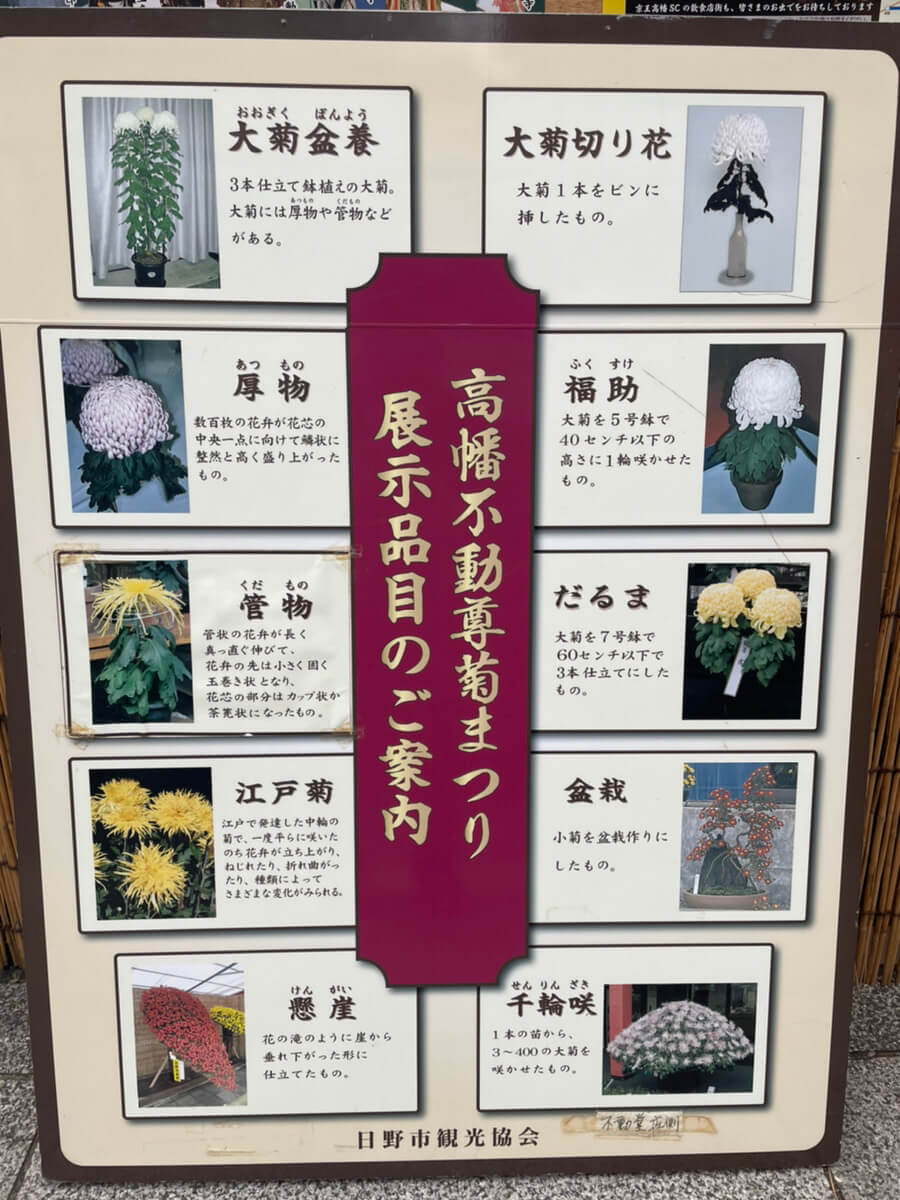 菊の種類